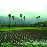 Thumb img 20171005 wa0001